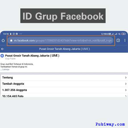 ID Grup Facebook sudah terlihat