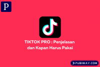 Penjelasan tentang Tiktok Pro