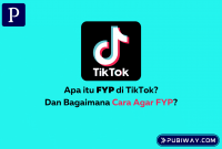 Apa itu FYP?