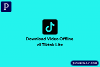 Download Video Offline Tiktok lite