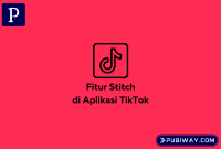 Stitch di Tiktok