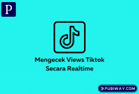 Mengecek Views Tiktok secara realtime