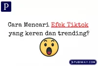 Cara Mencari Efek TIKTOK