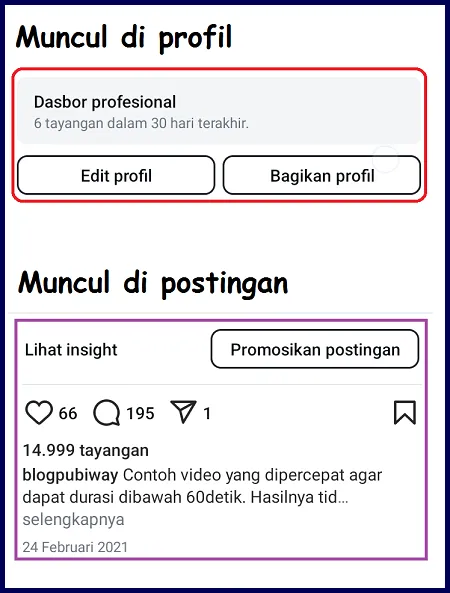 tampilan insight di instagram