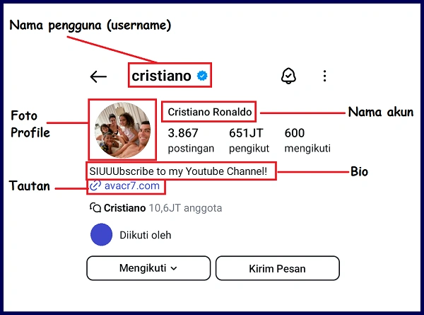 Anatomi Profil Instagram