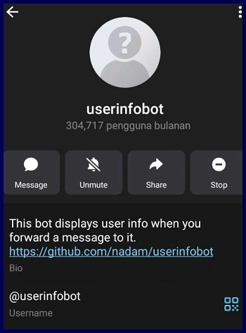 userinfobot telegram punya 304717 pengguna bulanan