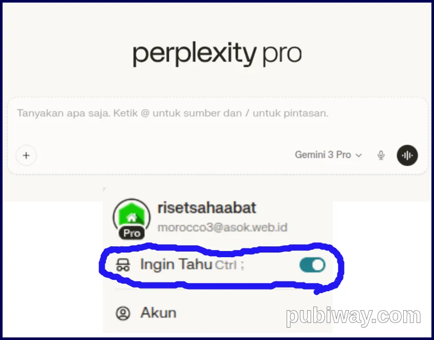 Pinjam Perplexity Pro