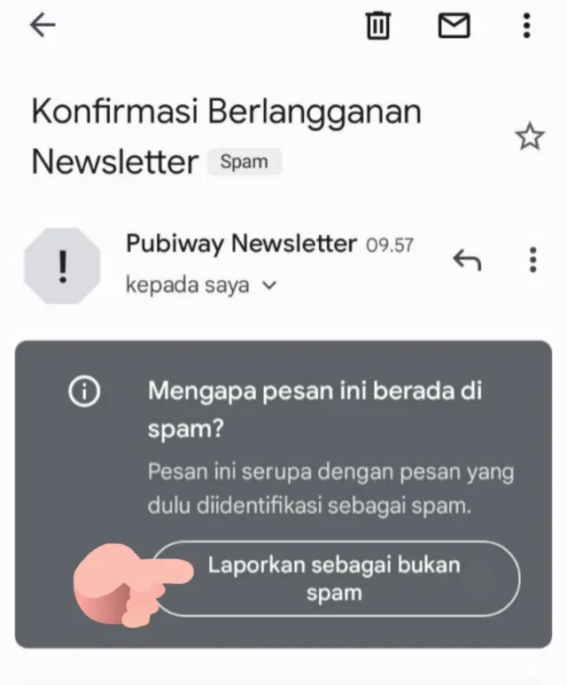 Tombol Bukan Spam Newsletter Pubiway